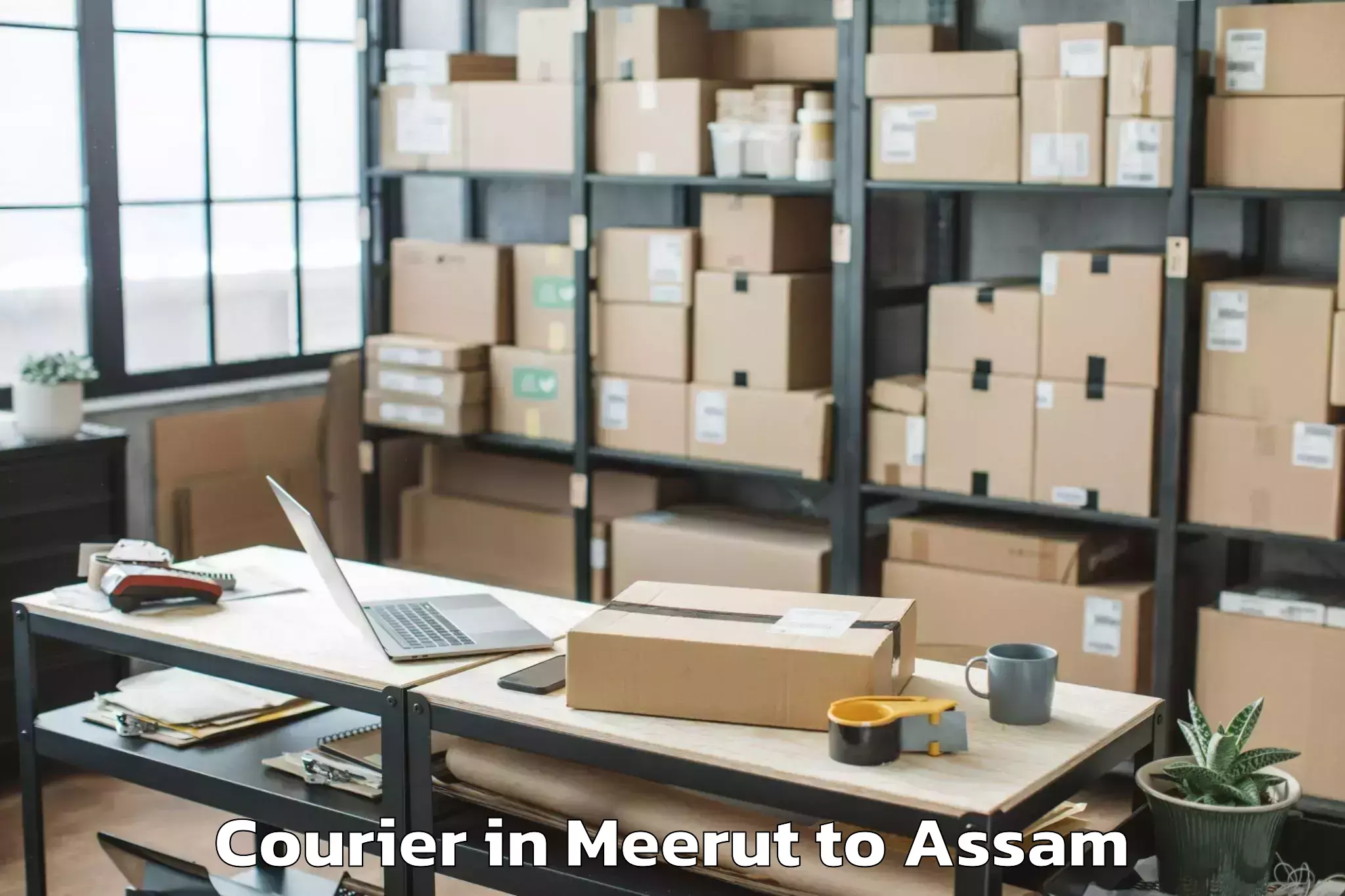 Professional Meerut to Jamuguri Courier